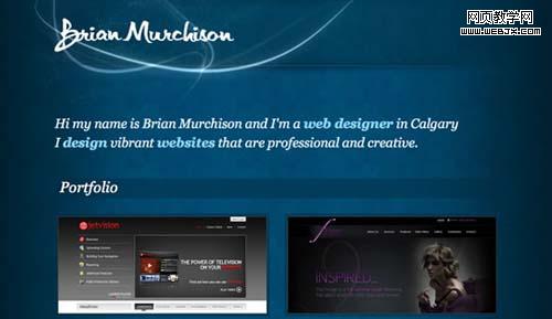 ��ҳ��վ���