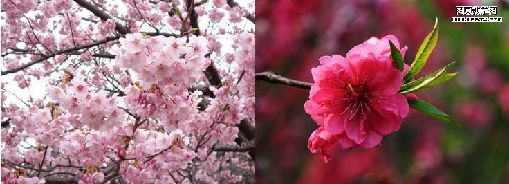 qq ץ���С���Ӵֵ���