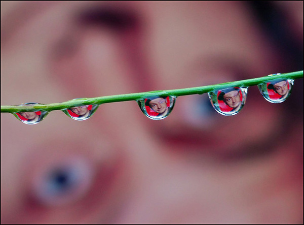 �����ƣ�����е�͸�Ӹ�����ȸ�