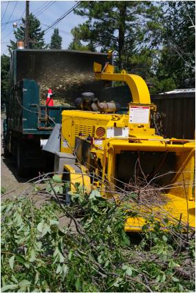 ��վ������������