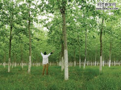 ���ָ�����������ĵ������֡�