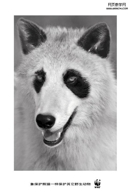 ����è�ĺ���Ȧ���ǵ��������һ��ʵ������ͬ��