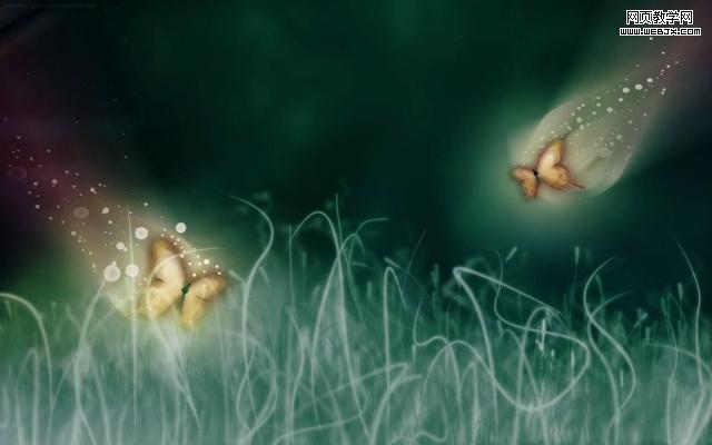 butterfly ���ѵ��ɱ䡪���й� SEO ��ҵ��״�ܿ�������