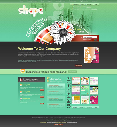 2010�����µ�100�����XHTMLģ��