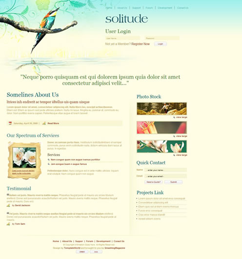 2010�����µ�100�����XHTMLģ��