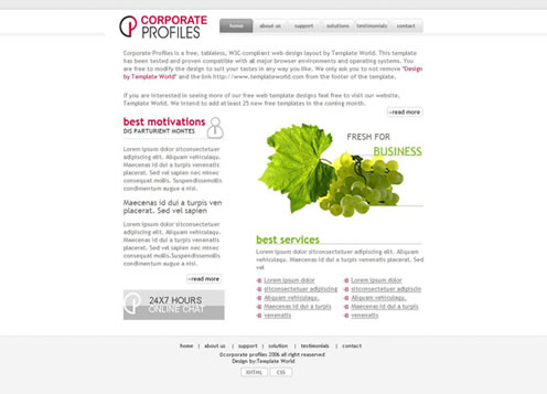 2010�����µ�100�����XHTMLģ��