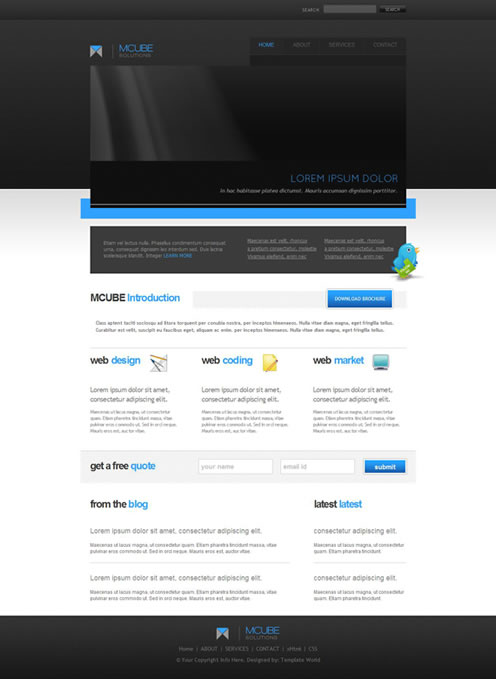 2010�����µ�100�����XHTMLģ��