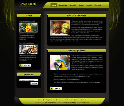 2010�����µ�100�����XHTMLģ��