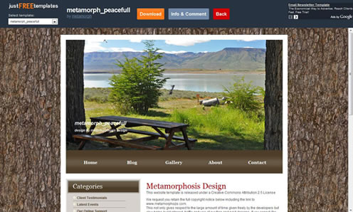 2010�����µ�100�����XHTMLģ��