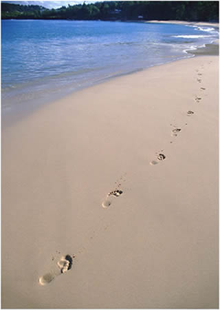 �ɡ����⵳��̸��ȥ����