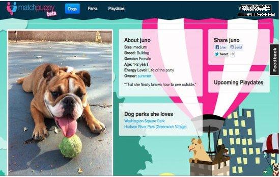 MatchPuppy�����ڳ��ﹷ���׵��罻��վ