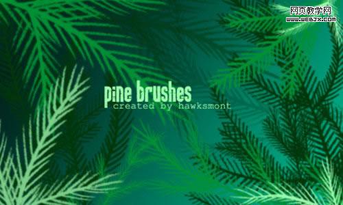 Pine Brushes MEGA PACK By Hawksmont-christmas | ʥ���������Դ���ռ�����������ˢ��ʸ����ͼ�������
