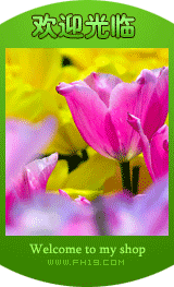 ���̷���