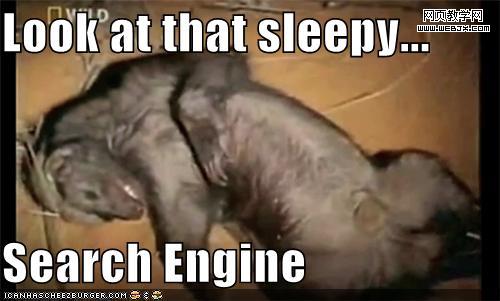 that sleepy ass honey badger