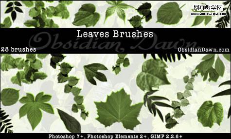 Leaves Photoshop Brushes